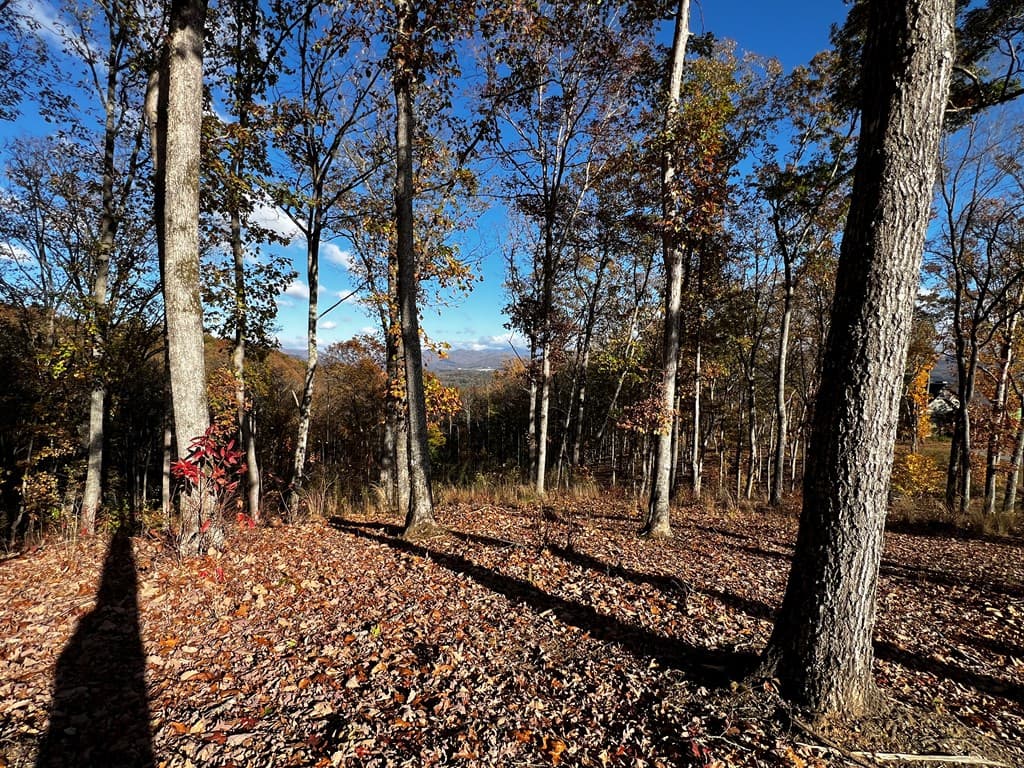 Lot 118 Winding Ridge, Blairsville GA 30512 - Photo