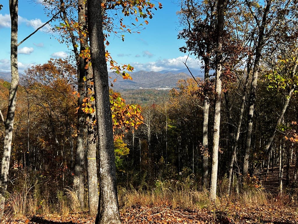 Lot 118 Winding Ridge, Blairsville GA 30512 - Photo