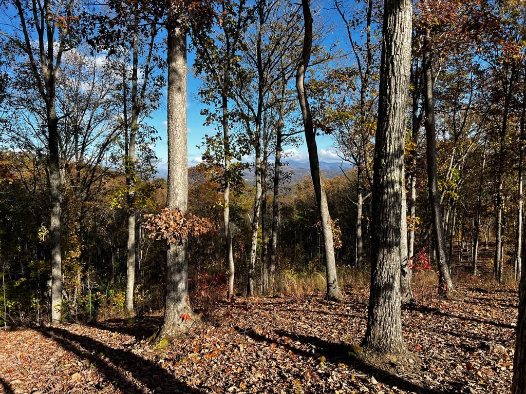 Lot 118 Winding Ridge, Blairsville GA 30512 - Photo