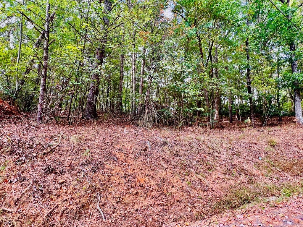 415 Chatawa Court, Ellijay GA 30540 - Photo