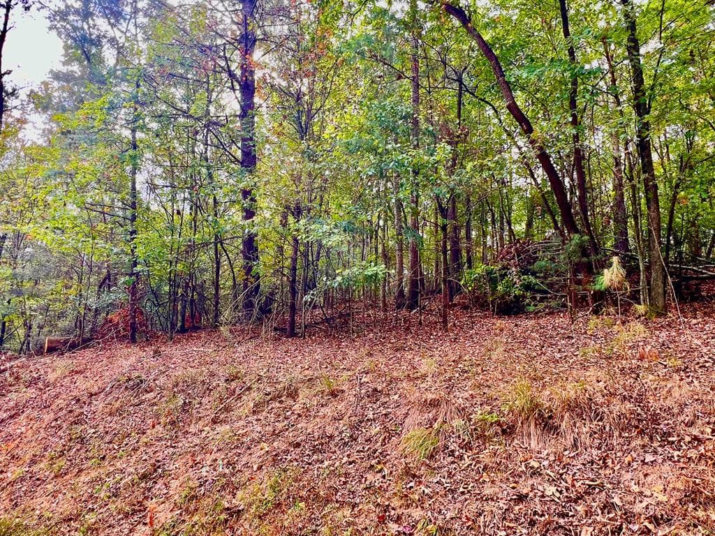 415 Chatawa Court, Ellijay GA 30540 - Primary photo