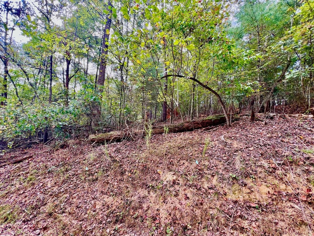 415 Chatawa Court, Ellijay GA 30540 - Photo