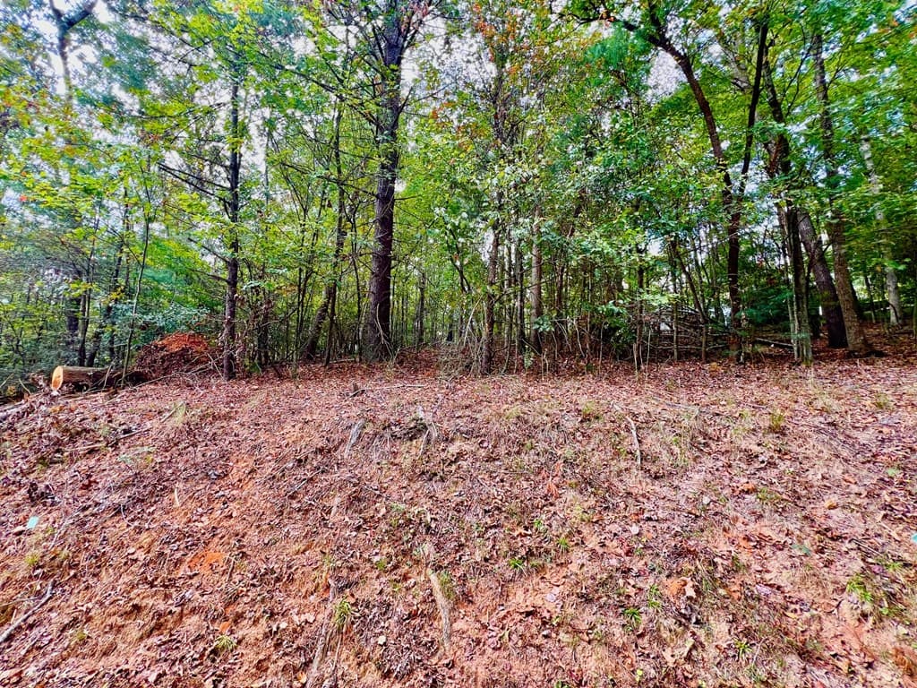 415 Chatawa Court, Ellijay GA 30540 - Photo