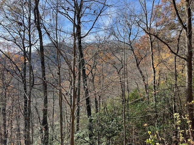 Lot 19 The Highlands, Hiawassee GA 30546 - Photo