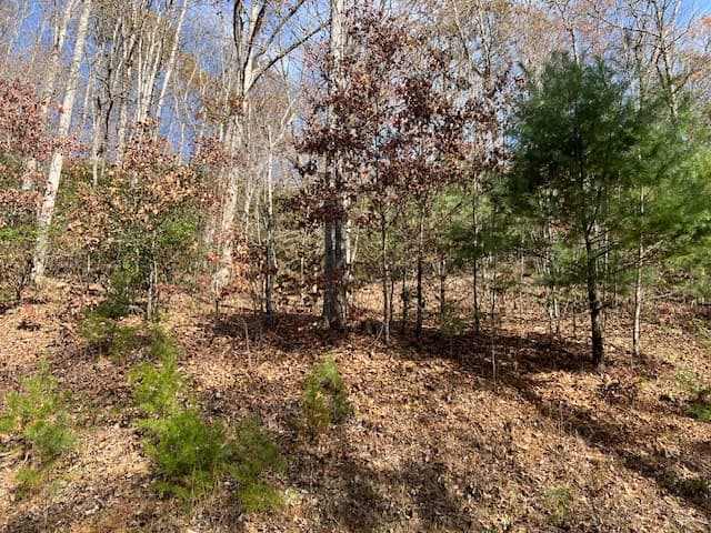 Lot 19 The Highlands, Hiawassee GA 30546 - Photo