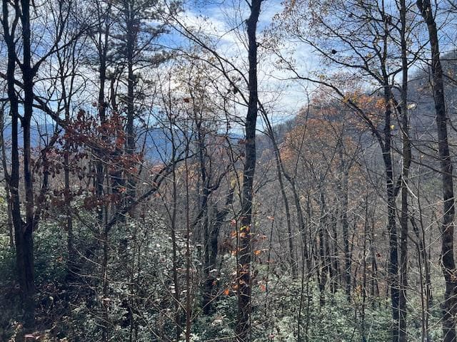 Lot 19 The Highlands, Hiawassee GA 30546 - Primary photo