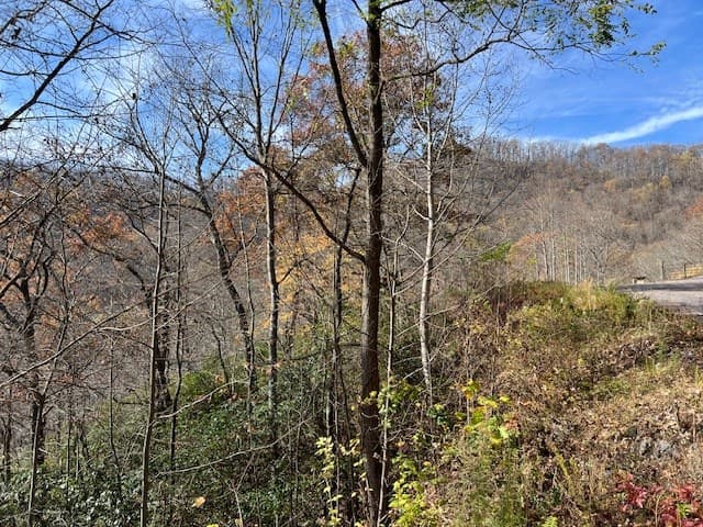 Lot 19 The Highlands, Hiawassee GA 30546 - Photo