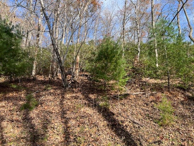 Lot 19 The Highlands, Hiawassee GA 30546 - Photo