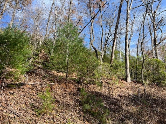 Lot 19 The Highlands, Hiawassee GA 30546 - Photo