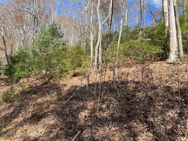 Lot 19 The Highlands, Hiawassee GA 30546 - Photo
