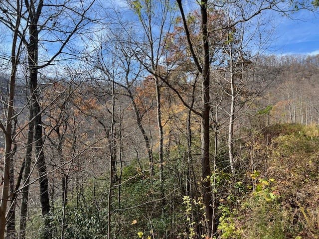 Lot 19 The Highlands, Hiawassee GA 30546 - Photo