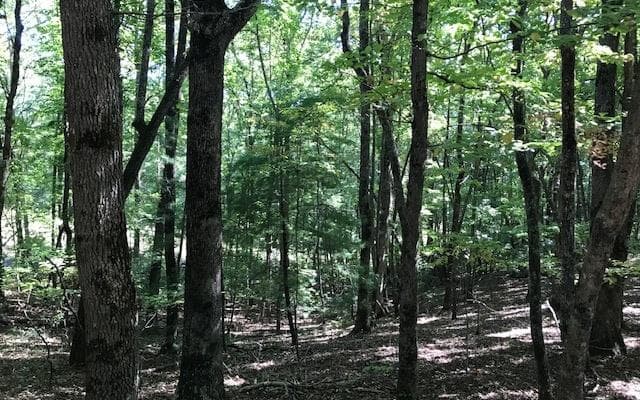 31-A&B Mountain View Lane, Hayesville NC 28904 - Photo