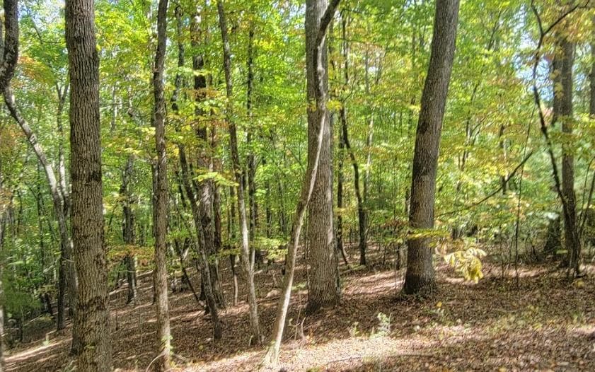 31-A&B Mountain View Lane, Hayesville NC 28904 - Primary photo