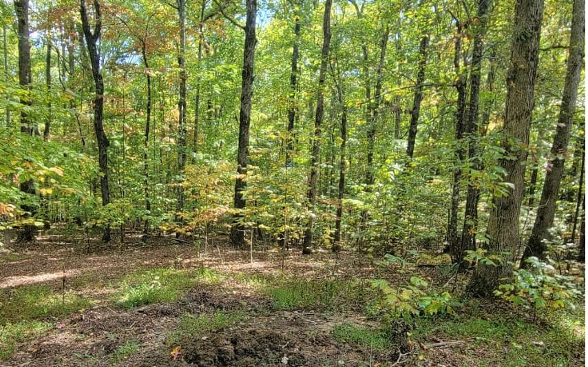 31-A&B Mountain View Lane, Hayesville NC 28904 - Photo