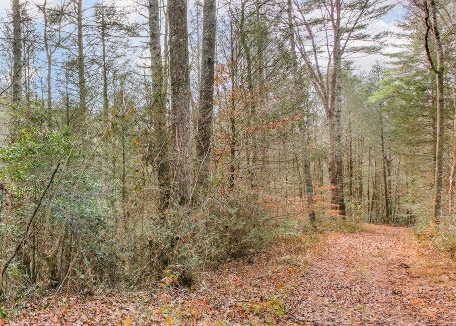 Lot 2 Laurel Overlook Road, Ellijay GA 30540 - Photo
