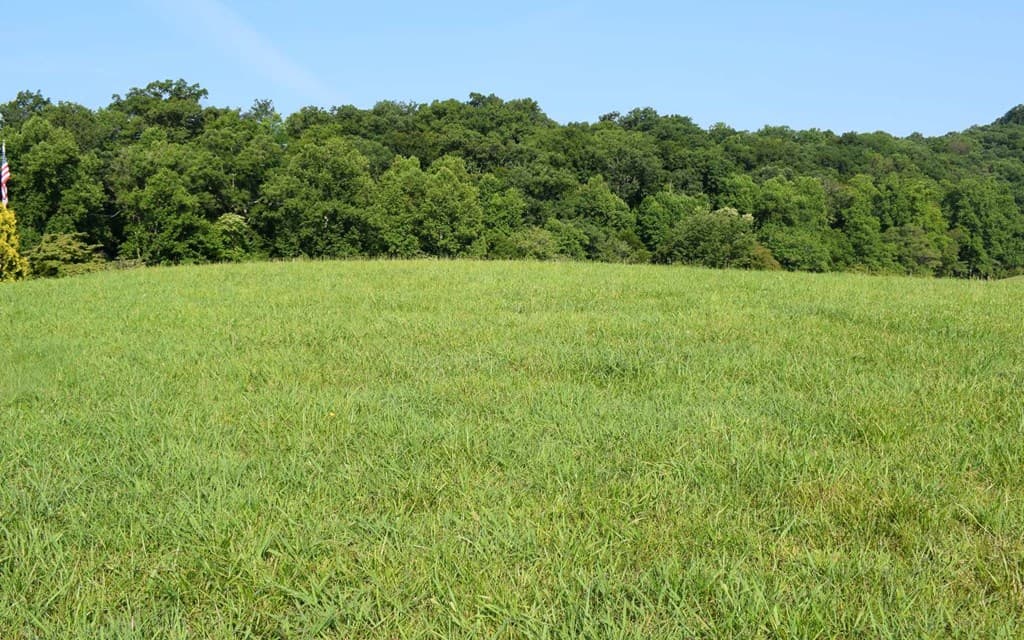 Lot 125A Mountain Harbour Drive, Hayesville NC 28904 - Photo