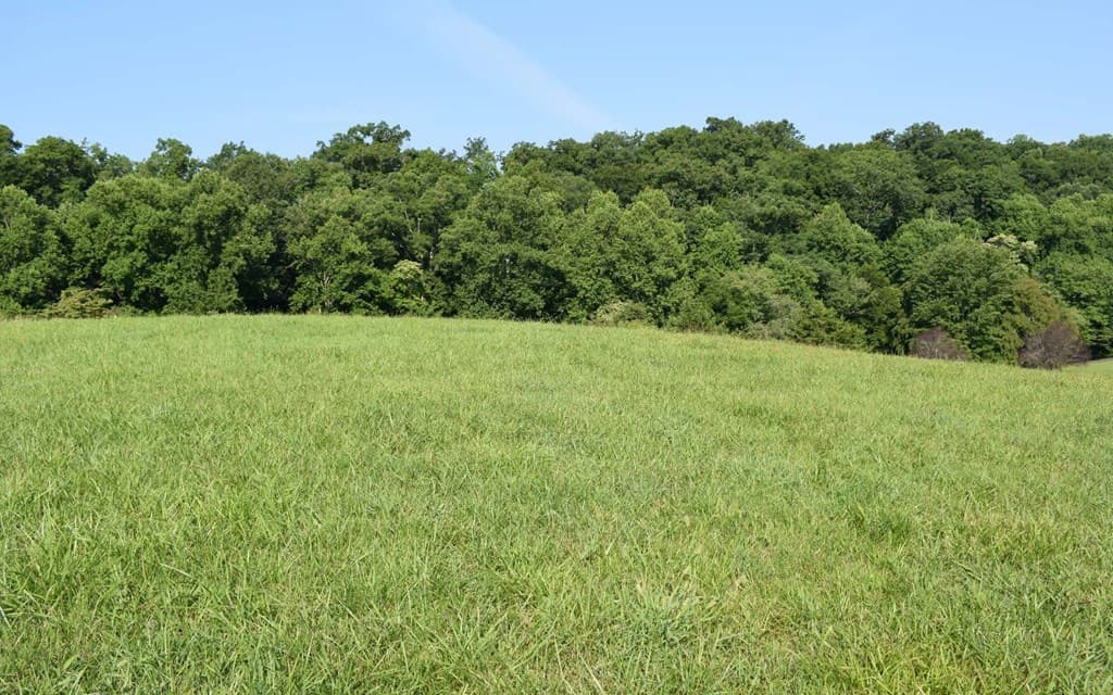 Lot 125A Mountain Harbour Drive, Hayesville NC 28904 - Photo