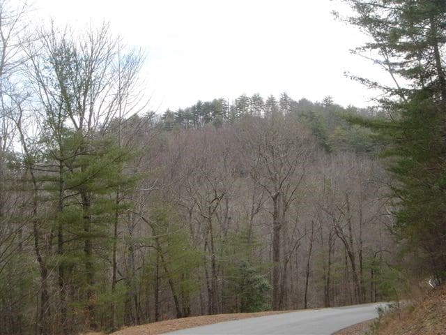 Lot 18 Highland Crossing, Blairsville GA 30512 - Photo