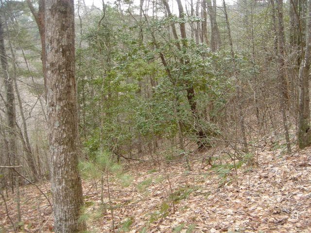 Lot 18 Highland Crossing, Blairsville GA 30512 - Primary photo
