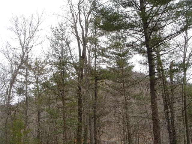 Lot 18 Highland Crossing, Blairsville GA 30512 - Photo