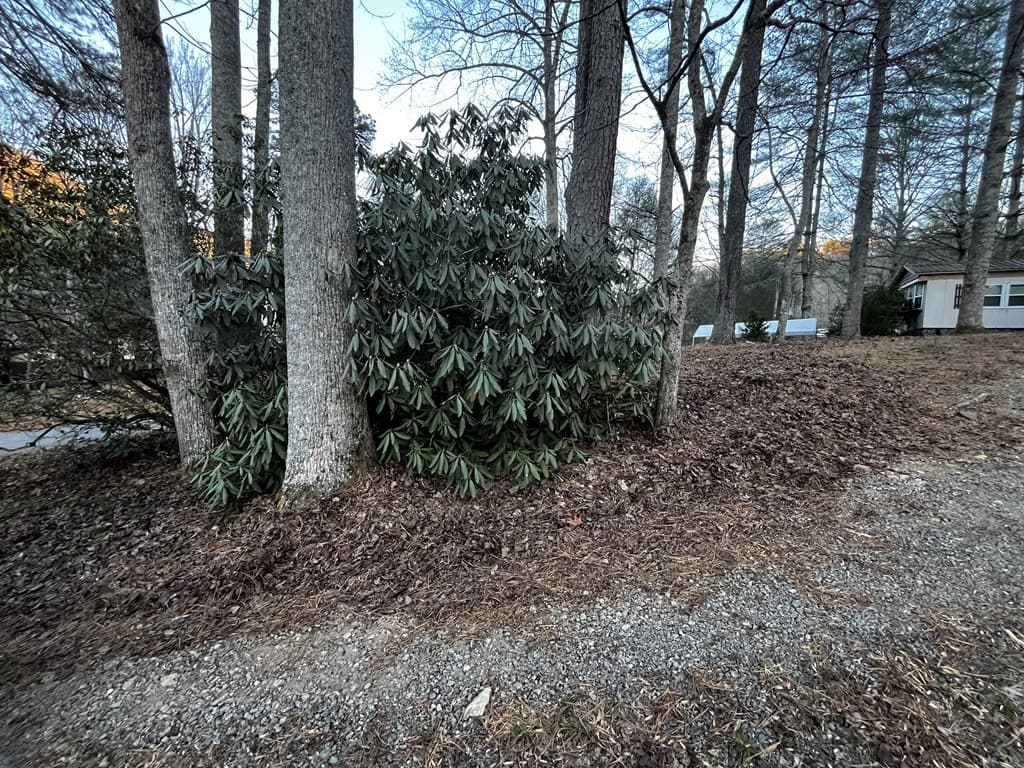 83 Leisure Woods Lane, Hiawassee GA 30546 - Photo