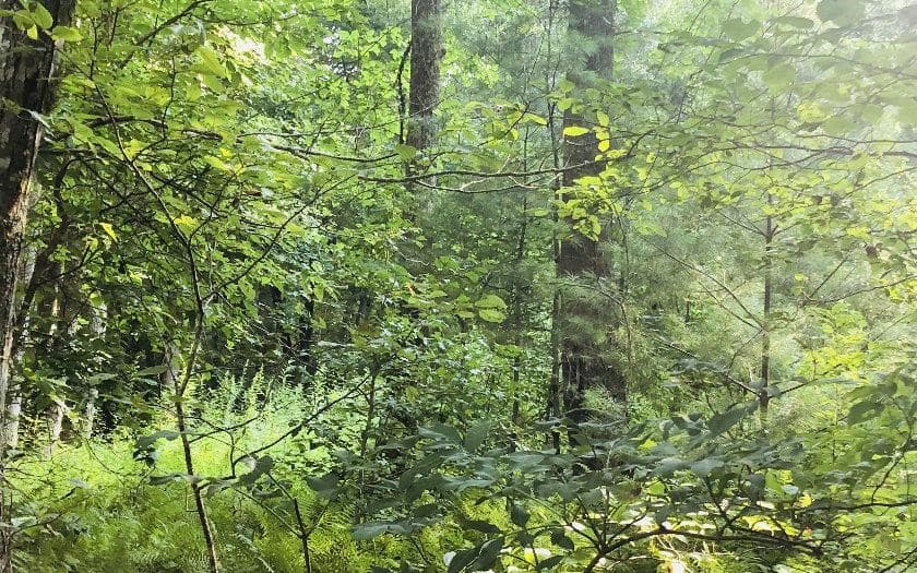99/98 Hi River Country, Hiawassee GA 30546 - Photo