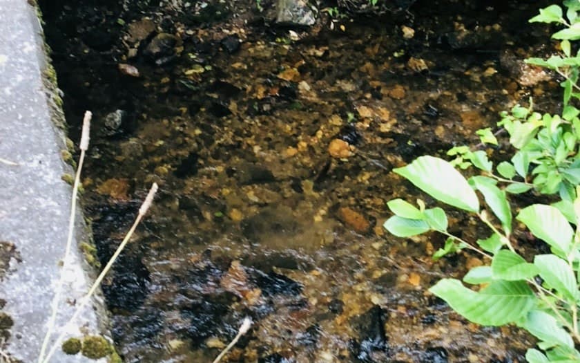 99/98 Hi River Country, Hiawassee GA 30546 - Photo