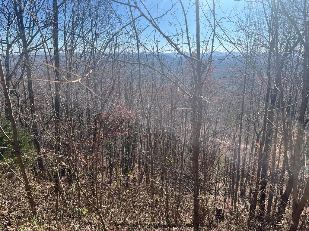 Lot 132 Sanctuary Drive, Murphy NC 28906 - Photo