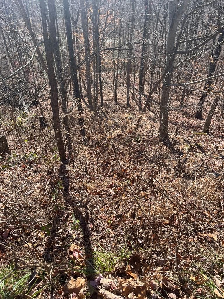 Lot 132 Sanctuary Drive, Murphy NC 28906 - Photo