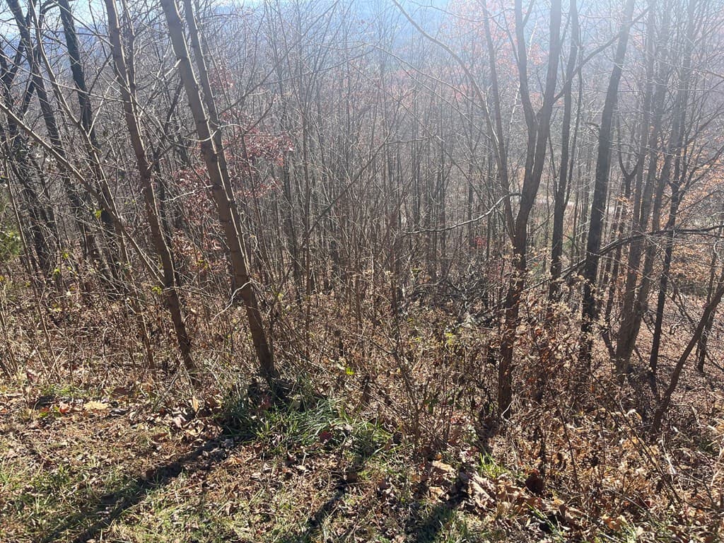 Lot 132 Sanctuary Drive, Murphy NC 28906 - Photo