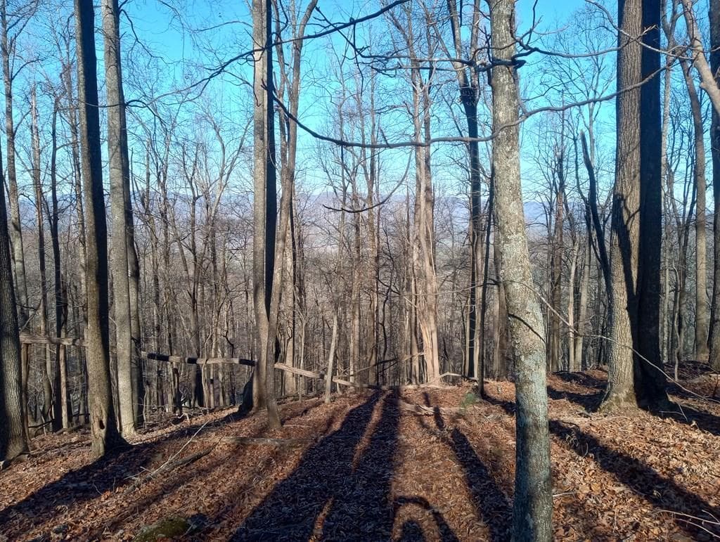 LT M214 Walnut Ridge, Ellijay GA 30536 - Photo