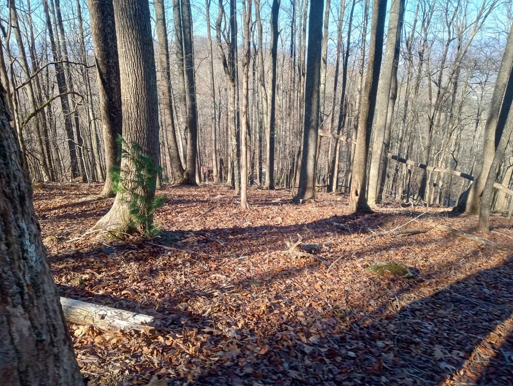 LT M214 Walnut Ridge, Ellijay GA 30536 - Photo