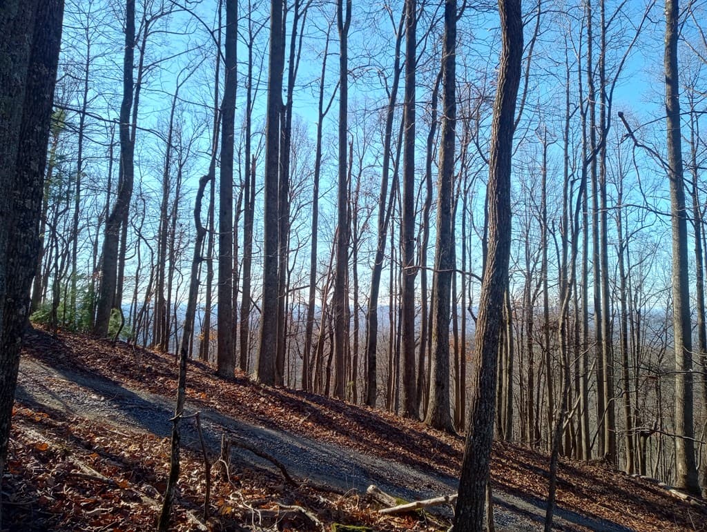 LT M214 Walnut Ridge, Ellijay GA 30536 - Photo