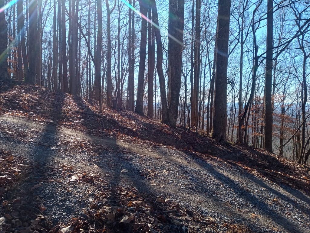 LT M214 Walnut Ridge, Ellijay GA 30536 - Photo