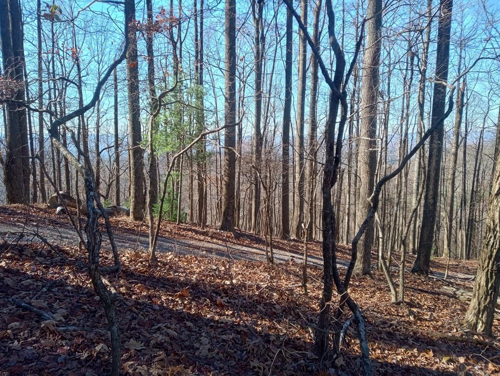 LT M214 Walnut Ridge, Ellijay GA 30536 - Photo