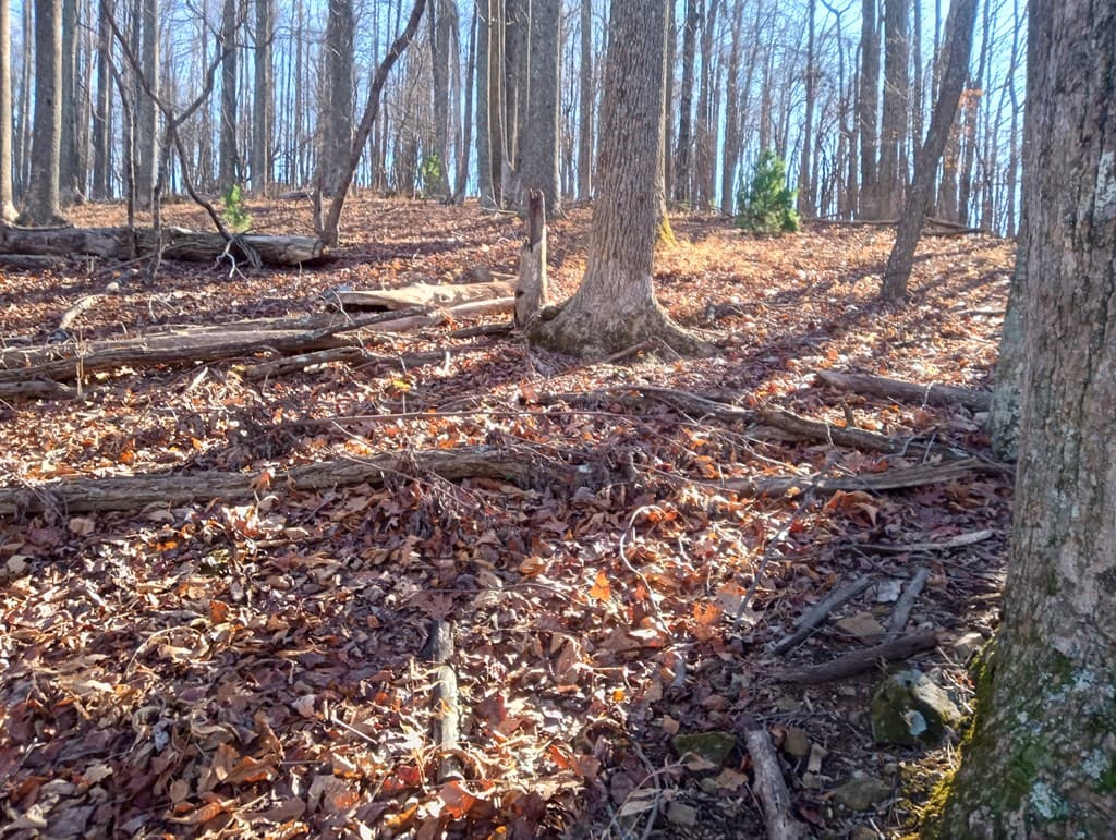 LT M214 Walnut Ridge, Ellijay GA 30536 - Photo