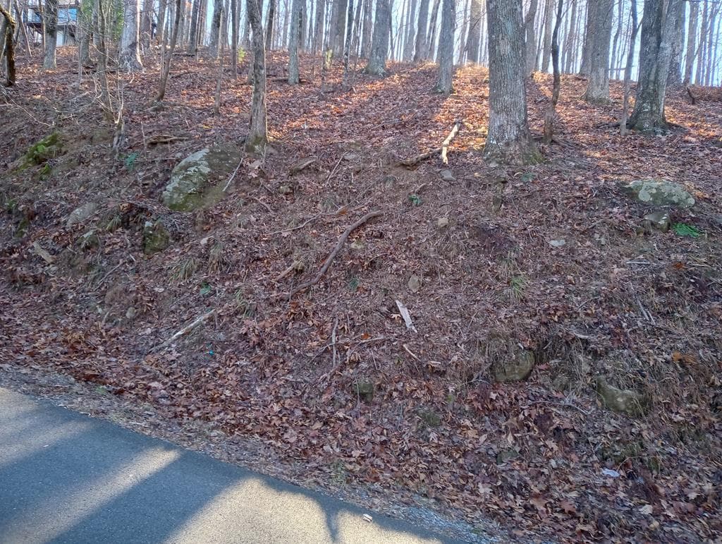 LT M214 Walnut Ridge, Ellijay GA 30536 - Photo