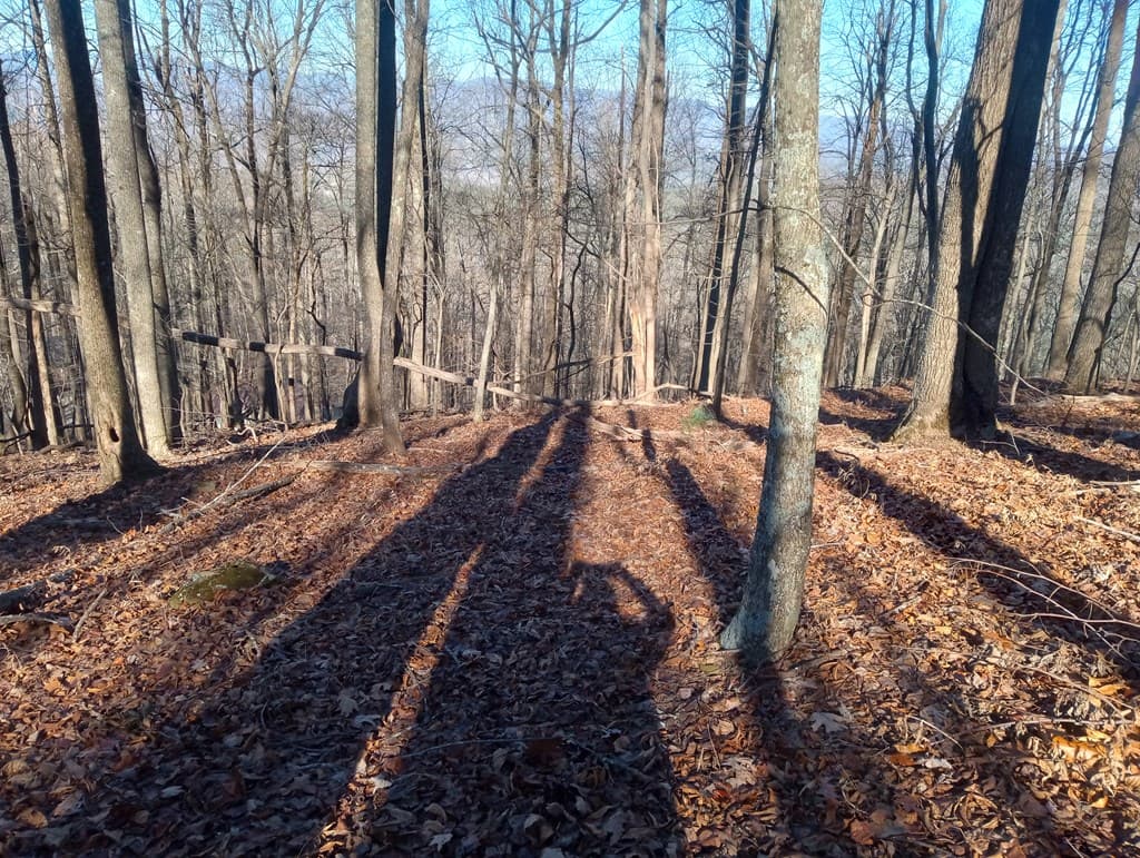 LT M214 Walnut Ridge, Ellijay GA 30536 - Photo
