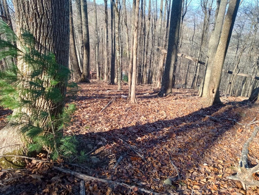 LT M214 Walnut Ridge, Ellijay GA 30536 - Photo
