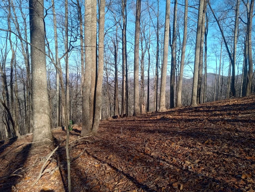 LT M214 Walnut Ridge, Ellijay GA 30536 - Photo