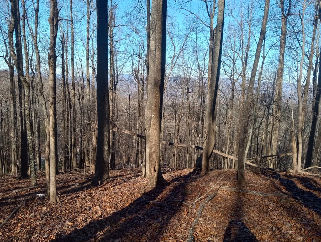 LT M214 Walnut Ridge, Ellijay GA 30536 - Photo