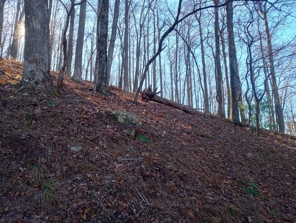 LT M214 Walnut Ridge, Ellijay GA 30536 - Photo
