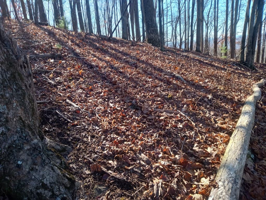 LT M214 Walnut Ridge, Ellijay GA 30536 - Photo