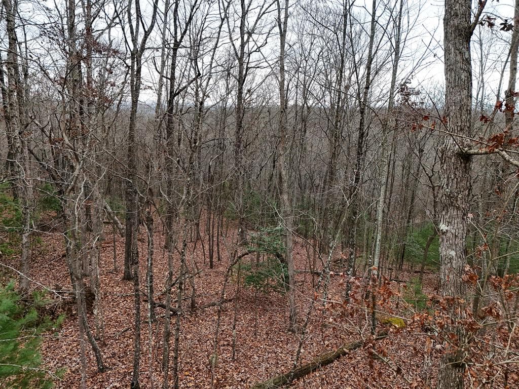 0 Dills Road, Blue Ridge GA 30513 - Photo