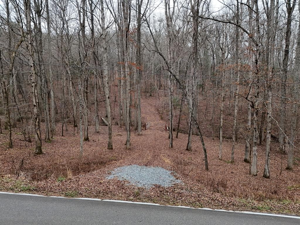 0 Dills Road, Blue Ridge GA 30513 - Photo