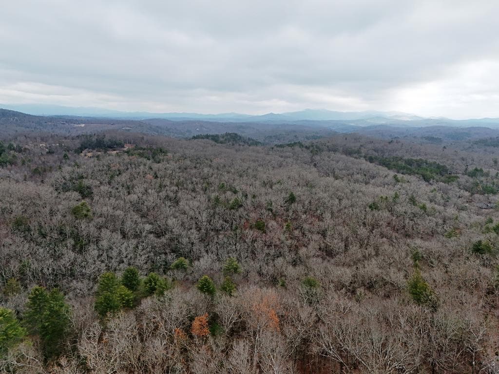 0 Dills Road, Blue Ridge GA 30513 - Photo