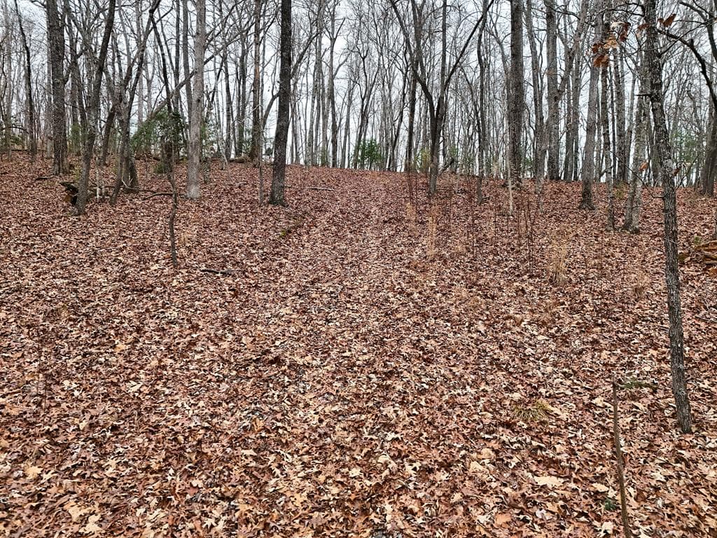 0 Dills Road, Blue Ridge GA 30513 - Photo