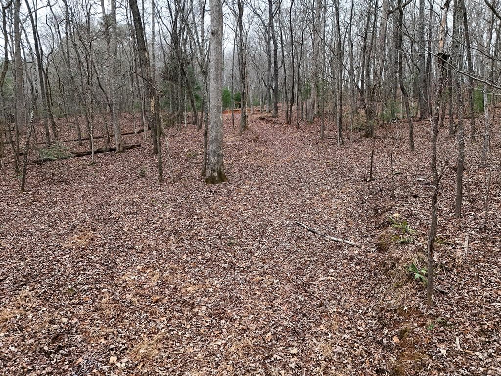 0 Dills Road, Blue Ridge GA 30513 - Photo