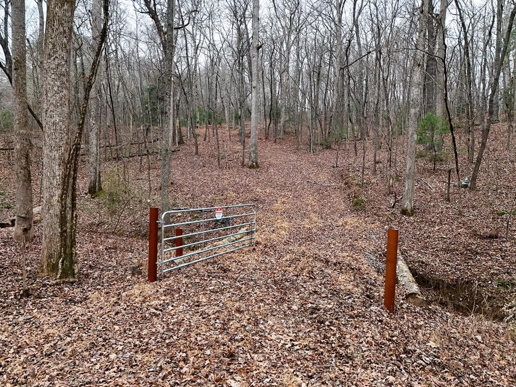 0 Dills Road, Blue Ridge GA 30513 - Photo