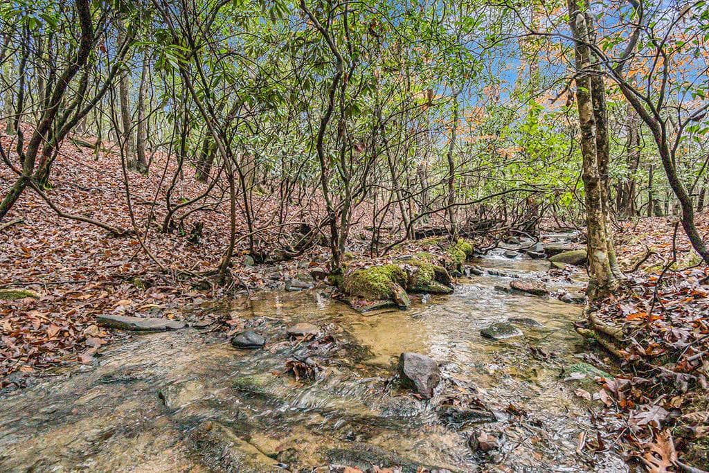 0 Dills Road, Blue Ridge GA 30513 - Photo